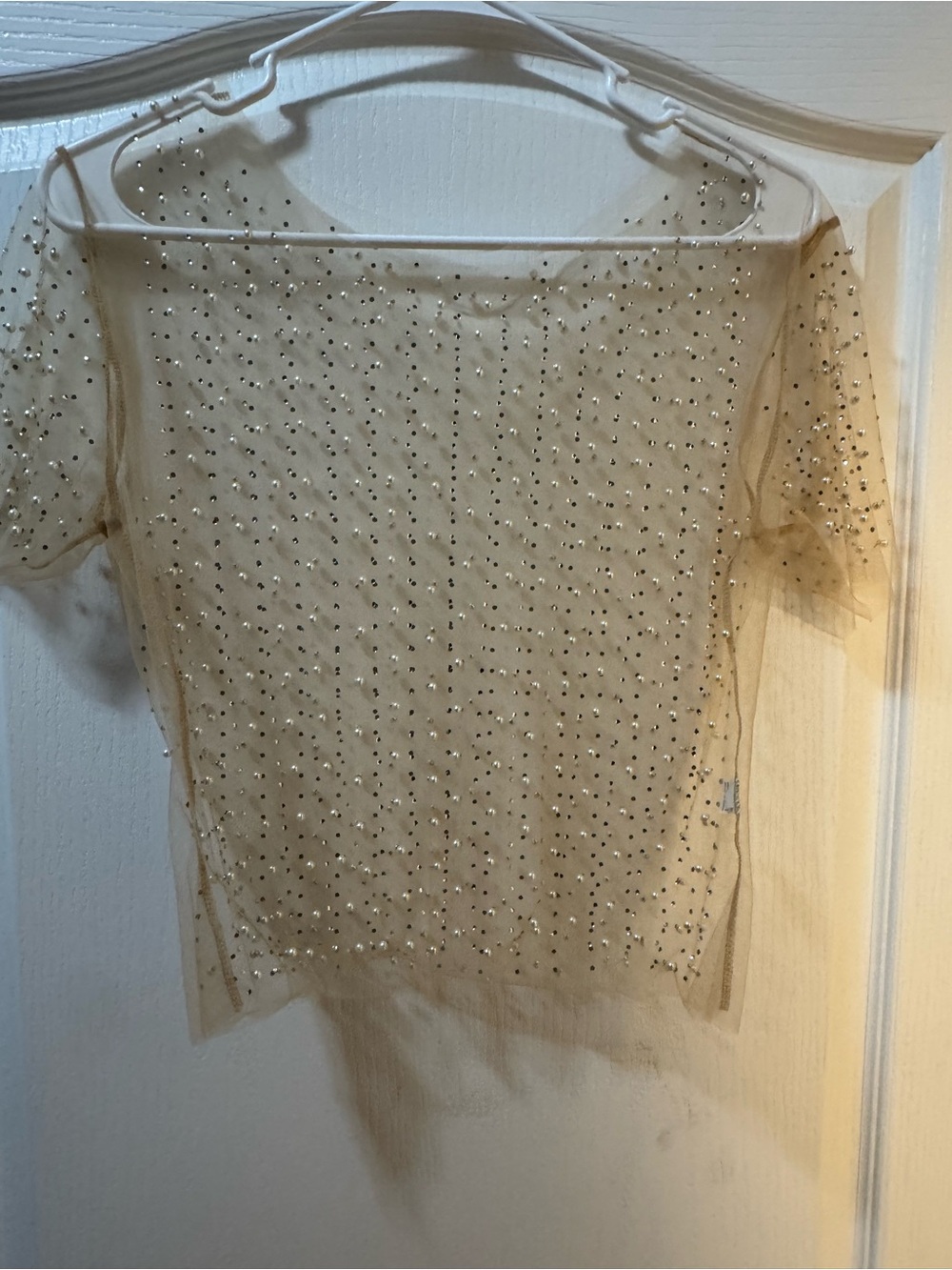 Beige Embellished Sheer Short Sleeve Top